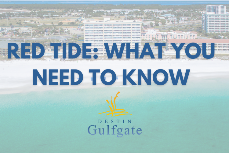 Red Tide What You Need To Know Destin Gulfgate Vacation Rentals